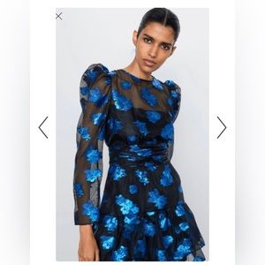 Zara organza mini dress NWT